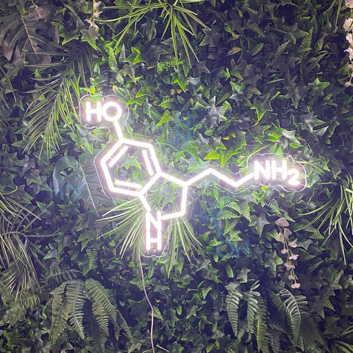 Serotonin Molecule Neon Light in Snow White