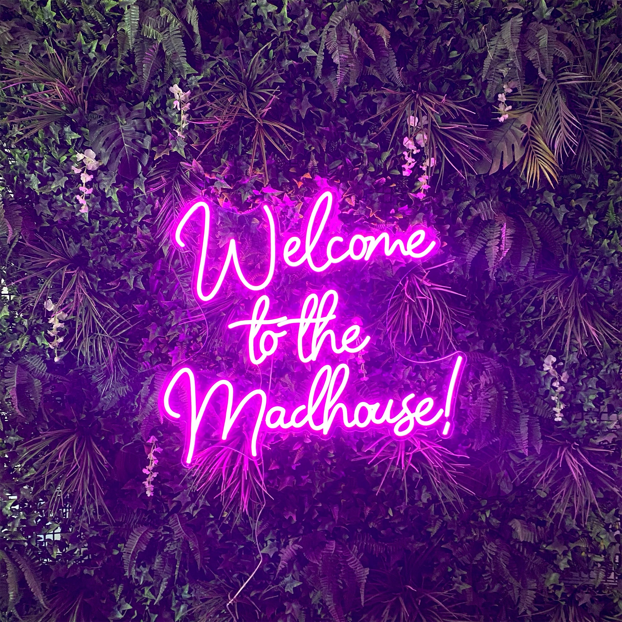 'Welcome to the Madhouse' Neon Sign