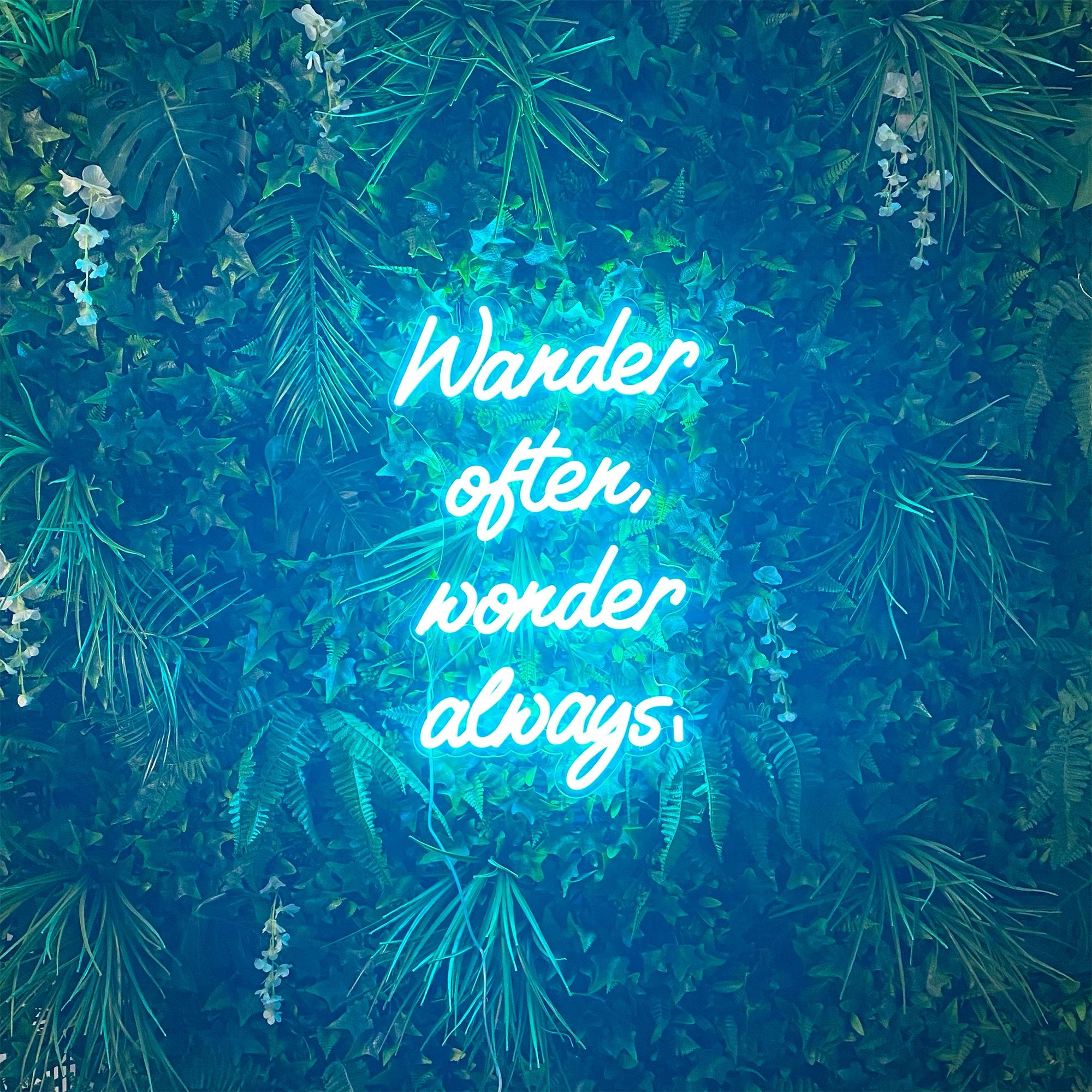 Wander often, wonder always, Neon Sign in Glacier blue