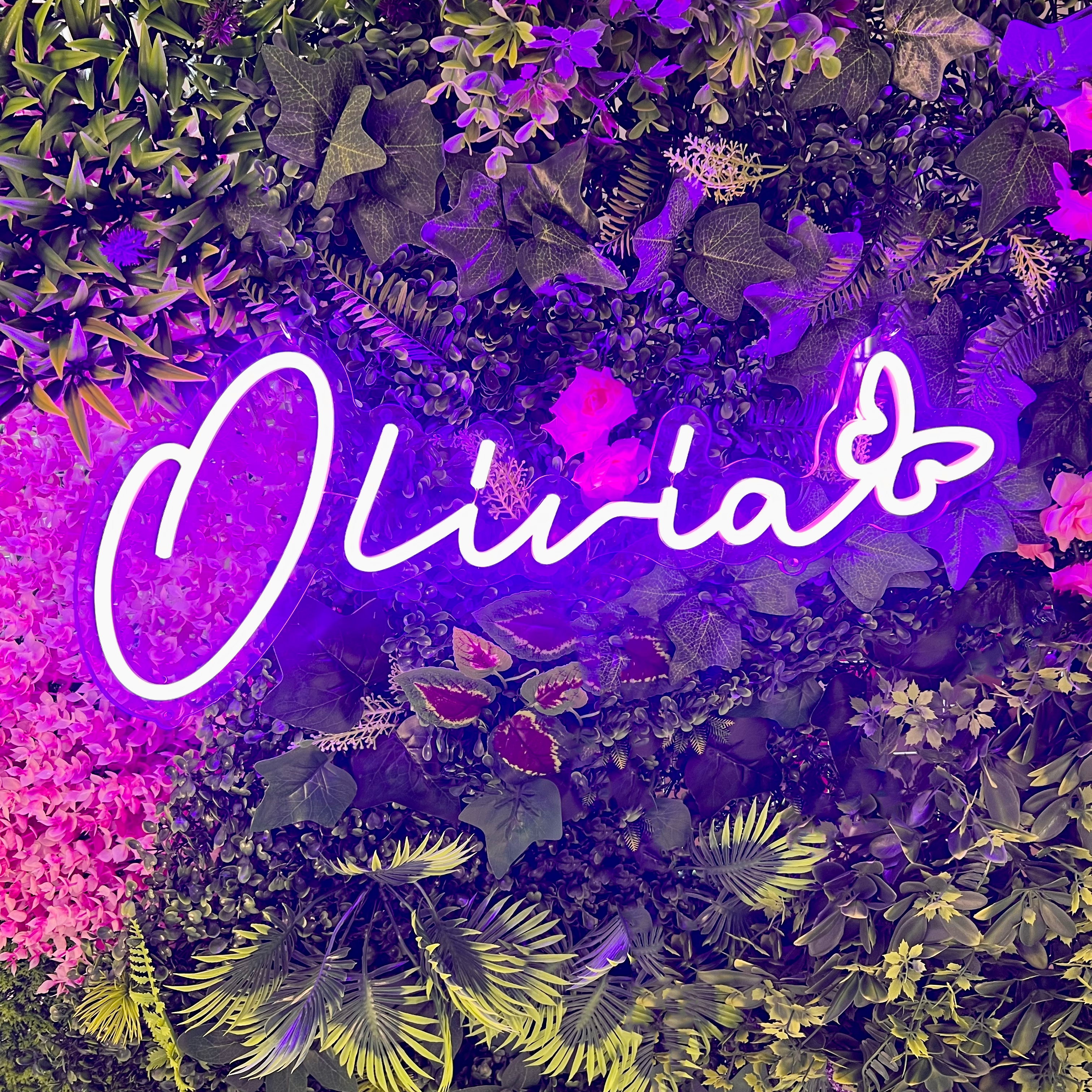Name and Butterfly - Semi Customisable Neon Sign