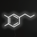 Serotonin Molecule Neon Light in snow white