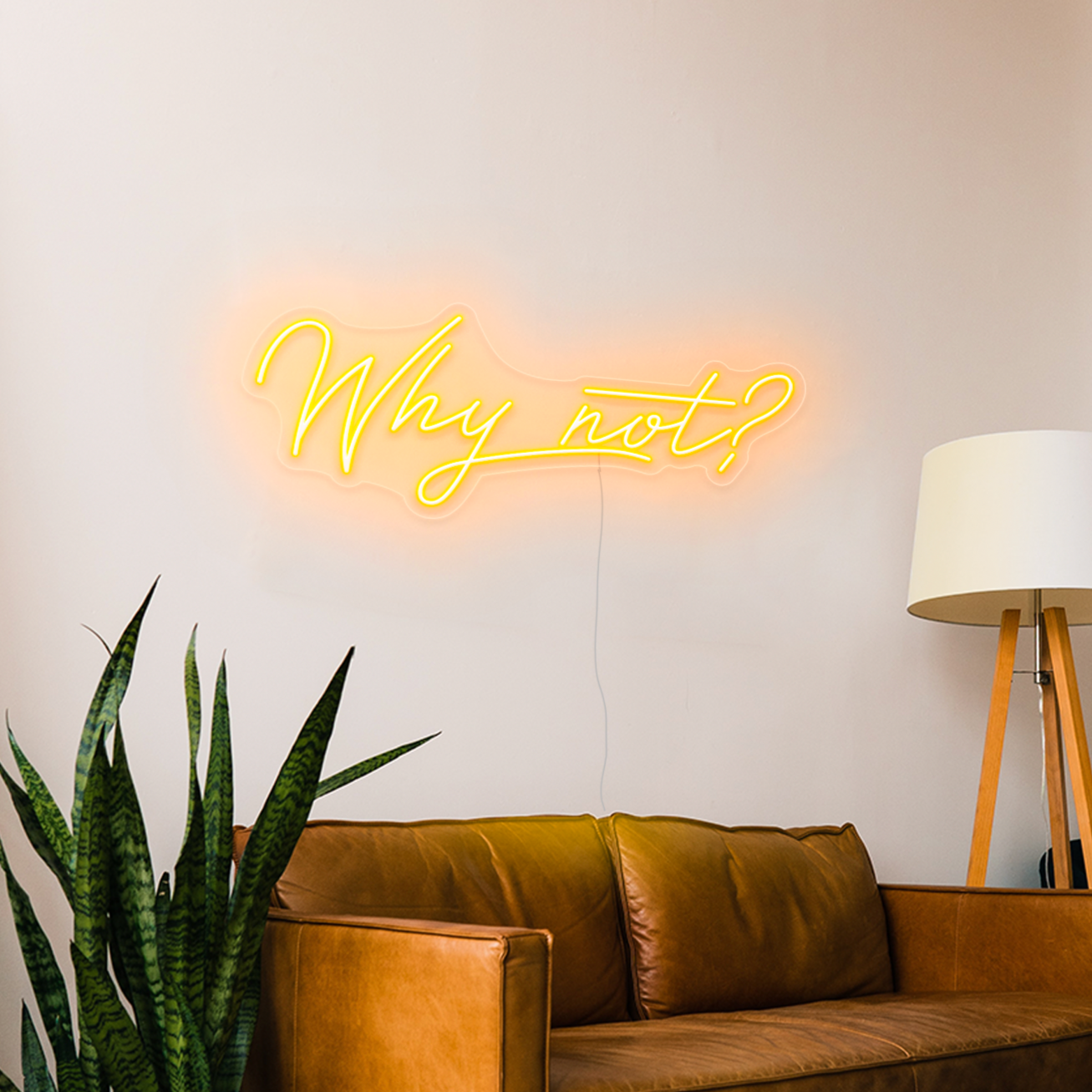 Why not? LED Neon Sign in hey pumpkin orange