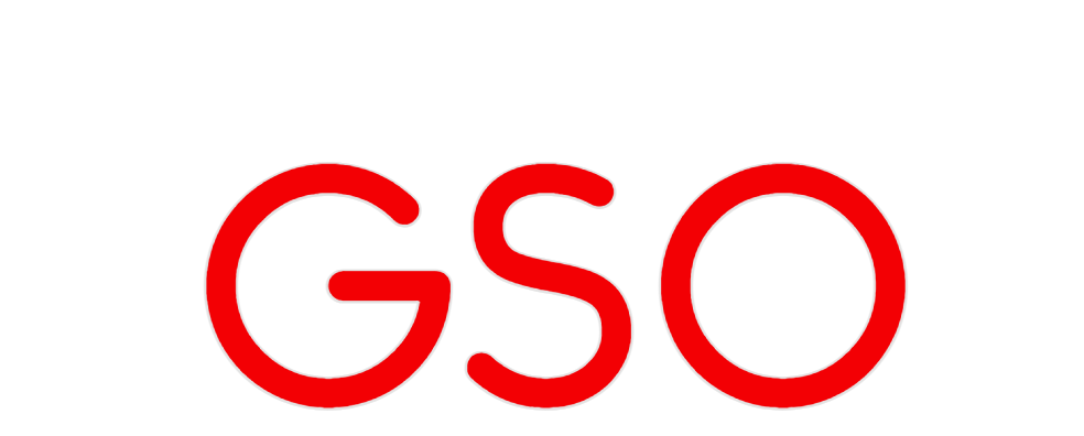 Custom Neon: GSO