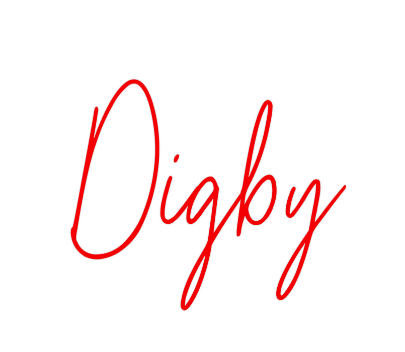 Custom Neon: Digby