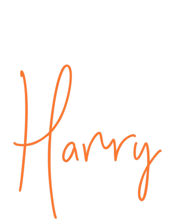 Custom Neon: Harry