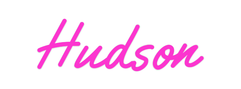 Custom Neon: Hudson